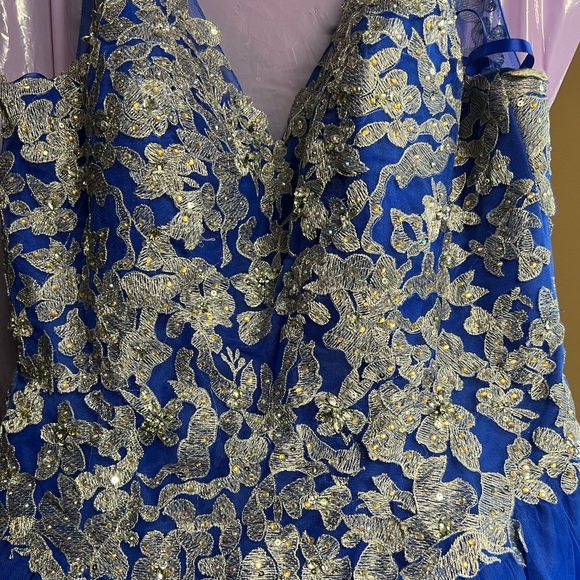 Quinceanera/Prom dress - Picture 4 of 10